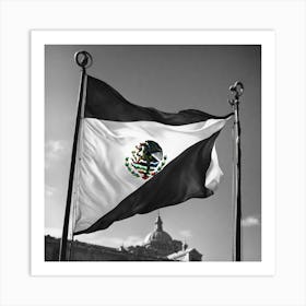 Mexico Flag 8 Art Print
