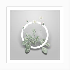 Vintage Daisy Flowers Minimalist Botanical Geometric Circle on Soft Gray n.0054 Art Print