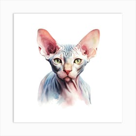 Sphynx Bambino Cat Portrait Art Print