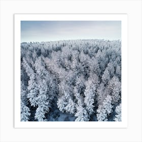 Aerial View Of Snow Covered Pine Forest Art Print