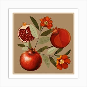 Pomegranate Botanical Art Art Print