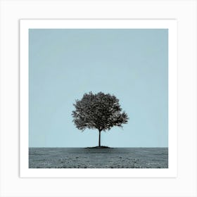 Lone Tree 11 Art Print