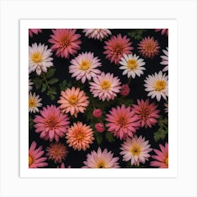 Pink Dahlias Art Print