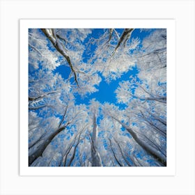 Frosty Forest 2 Art Print