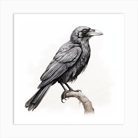 Raven 1 Art Print