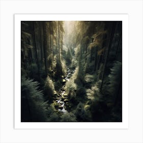 Forest Stream Art Print