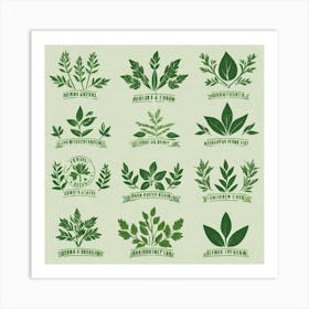 Green Leaf Set Art Print