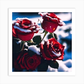 Snow laden Red Roses Art Print