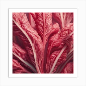 Close Up Of Red Cabbage Art Print