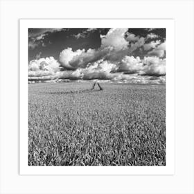 Wheat Field (Owsten Ferry . UK . 2008) Art Print