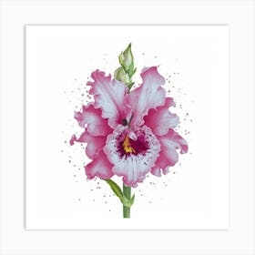 Pink Orchid Art Print