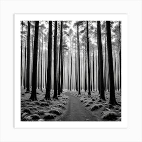 Path In The Forest 10 Art Print