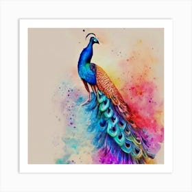 Peacock Painting Art Print