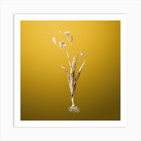 Gold Botanical Ixia Bulbifera on Mango Yellow n.4534 Art Print