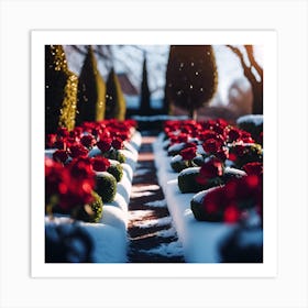 Pathway through the Red Rose Garden with Clipped Yew Art Print