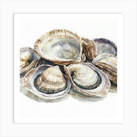 Clams Watercolor Illustration Art Print