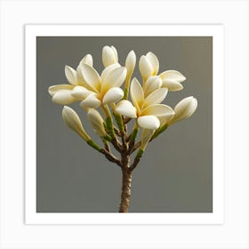 White Flowers On A Branch Art Print