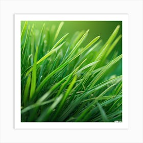 Green Grass 28 Art Print