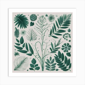 Ferns And Leaves Art Print