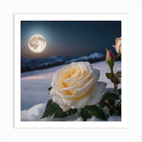 White Roses In The Snow Art Print