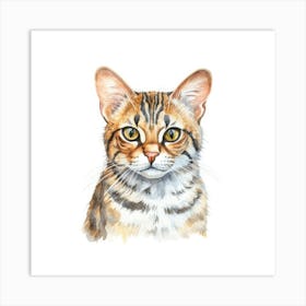 Asian Leopard Cat Portrait 3 Art Print