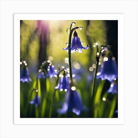 Raindrops on Bluebells Art Print