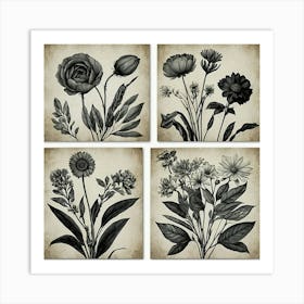 Black And White Flowers 1 Art Print