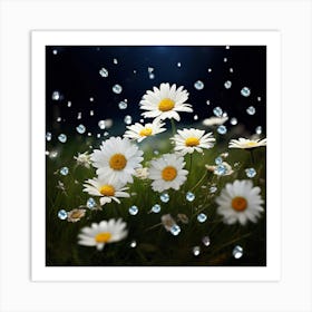 Daisies In The Rain Art Print