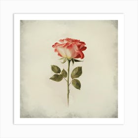 Rose On A Stem 1 Art Print