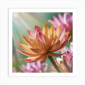 Lotus Flower 96 Art Print