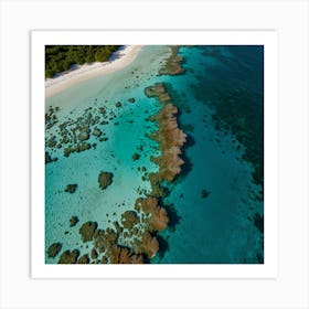 Aerial View Of Coral Reefs Art Print