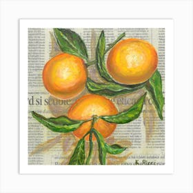 Oranges On Newspaper Citrus Fruit Minimal Rustic Painting Retro Pop Art Food Kitchen Farmhouse Decor Art Print