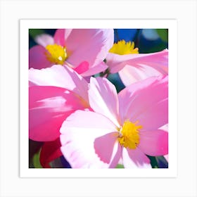 Pink Begonia Blossoms Art Print