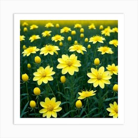 Yellow Flowers In A Field 3 Art Print