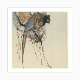 Pheasants In Cherry Blossoms Art Print