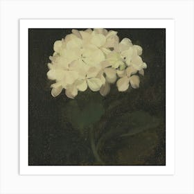 Flowers 12 Art Print