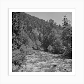 Willamette National Forest, Lane County, Oregon, Salt Creek By Russell Lee Art Print