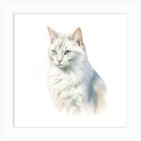 Burmilla Longhair Cat Portrait 3 Art Print