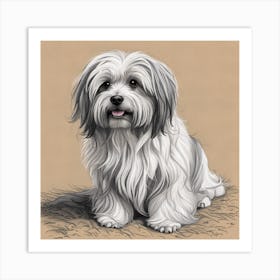 Shih Tzu Art Print