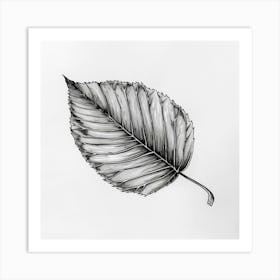 Autumn Leaf in Black and White Ink Art Print