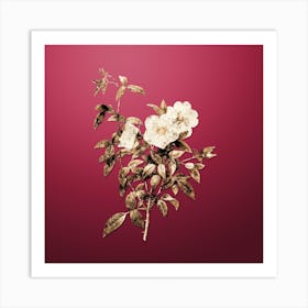 Gold Botanical White Rose of Snow on Viva Magenta n.4076 Art Print