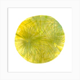 Fan Palms Circle Art Print