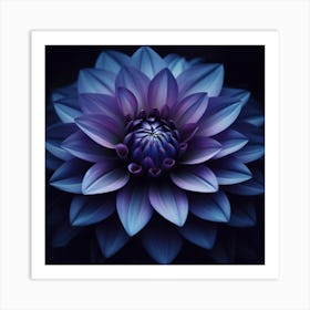 Purple Dahlia Flower Art Print