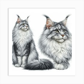 Grey-white maine coon cat 6 Art Print