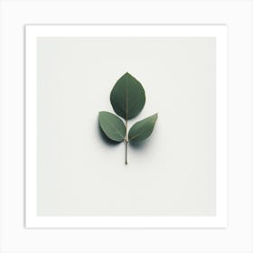 Eucalyptus Leaf 4 Art Print