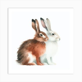 Hares Art Print