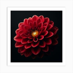 Dahlia Flower Art Print