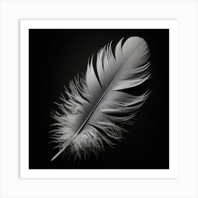 Feather 1 Art Print