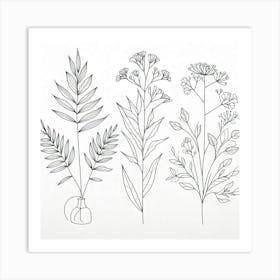 Drawing Of Plants Art Print