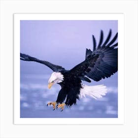 Bald Eagle Art Print